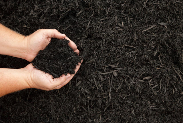Composting