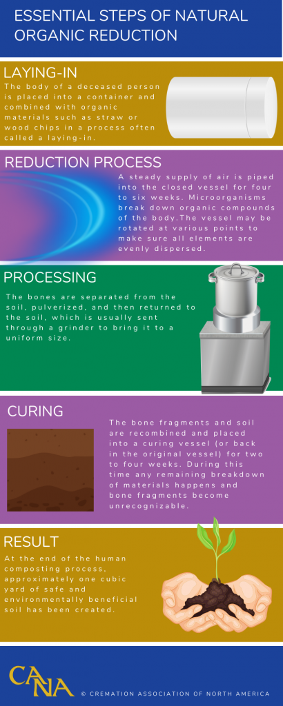 NOROC Infographic