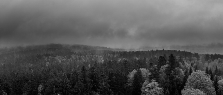 Dark Winter