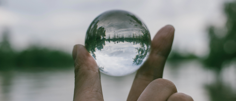 Transparency