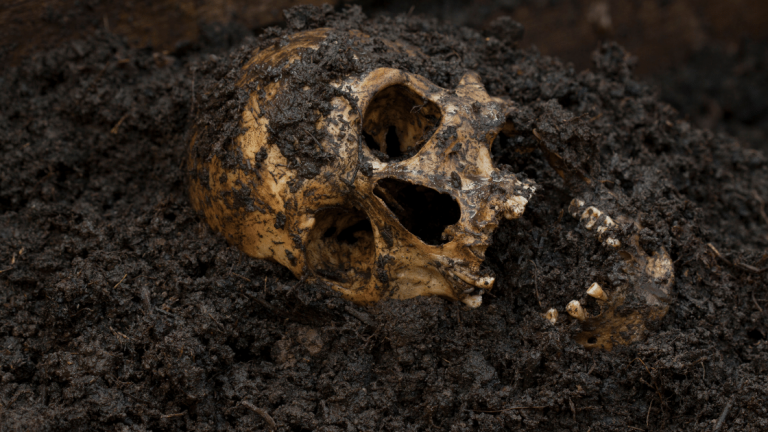 Cemetery Crime