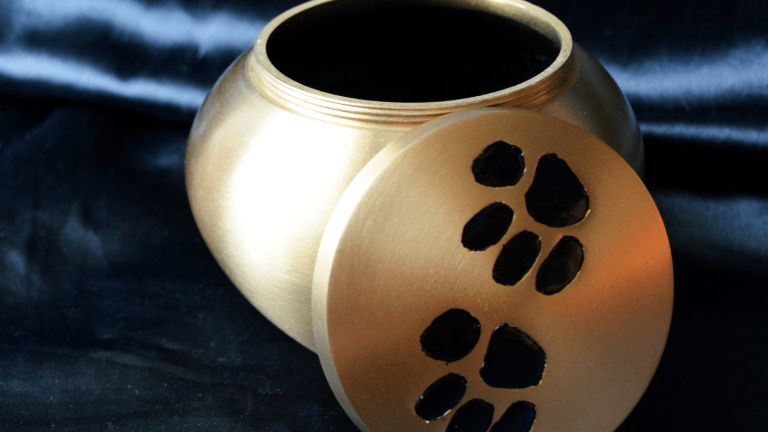 Pet funeral