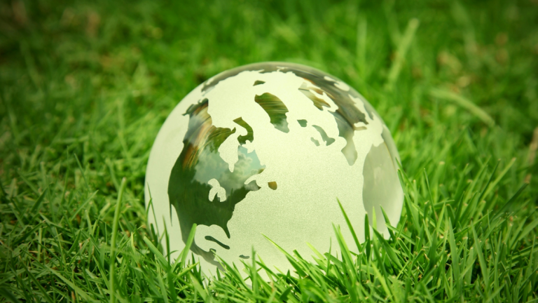 Natural Burial and Cremation